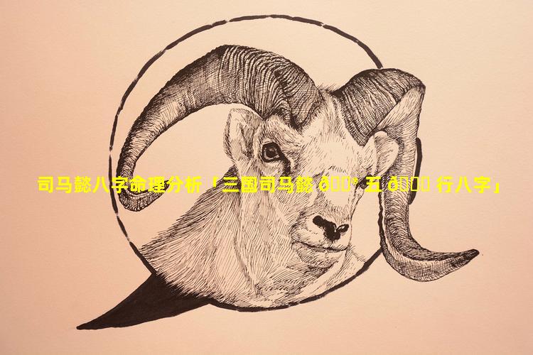 司马懿八字命理分析「三国司马懿 💮 五 🐕 行八字」